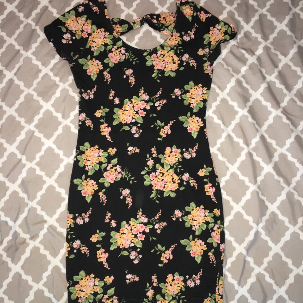 Dresses lightly worn great condition!